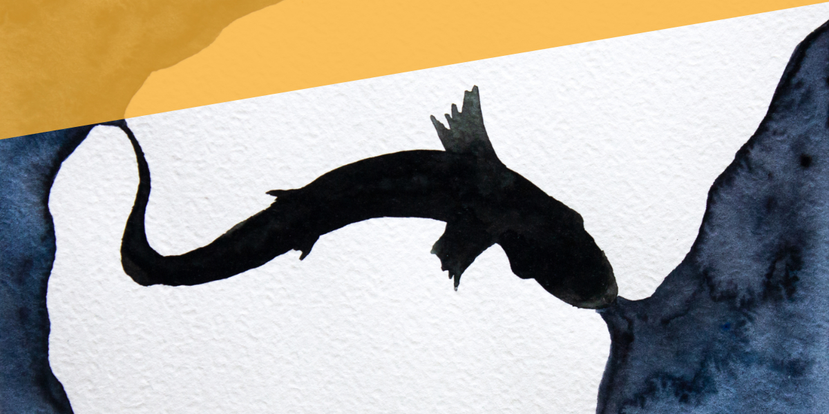 Ein Aquarell eines Fisches